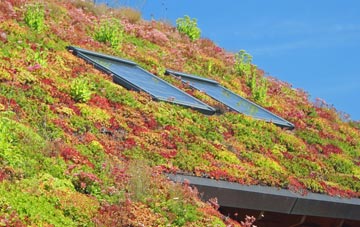 Yorton Heath living roof systems