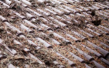 Yorton Heath roof cleaning companies