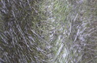 Yorton Heath fibreglass roof work